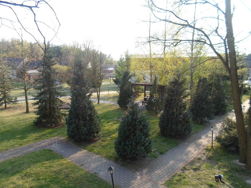 Center Angelos Bronków Quarto foto